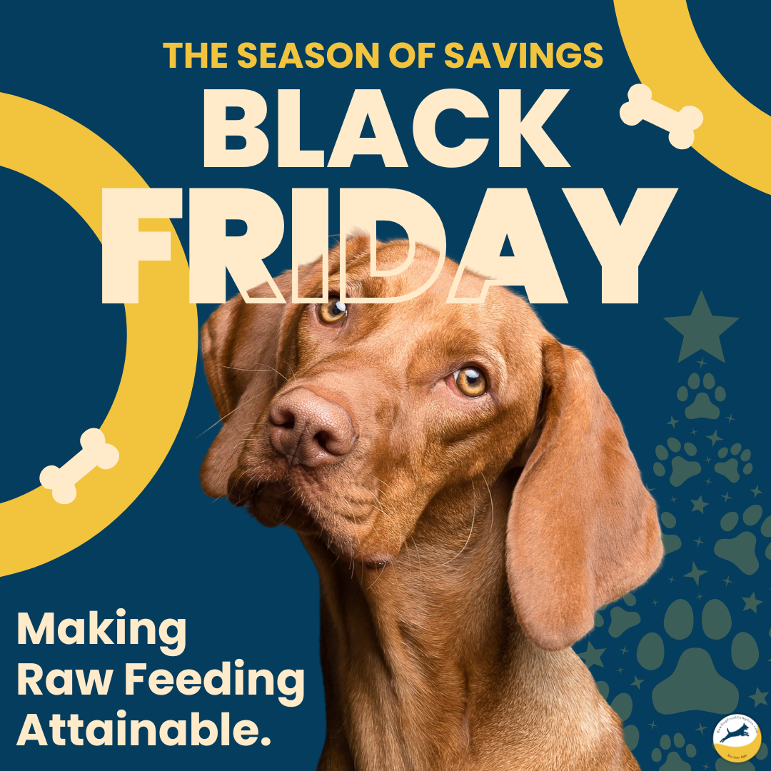 Early Black Friday Raw Dog Food Deals