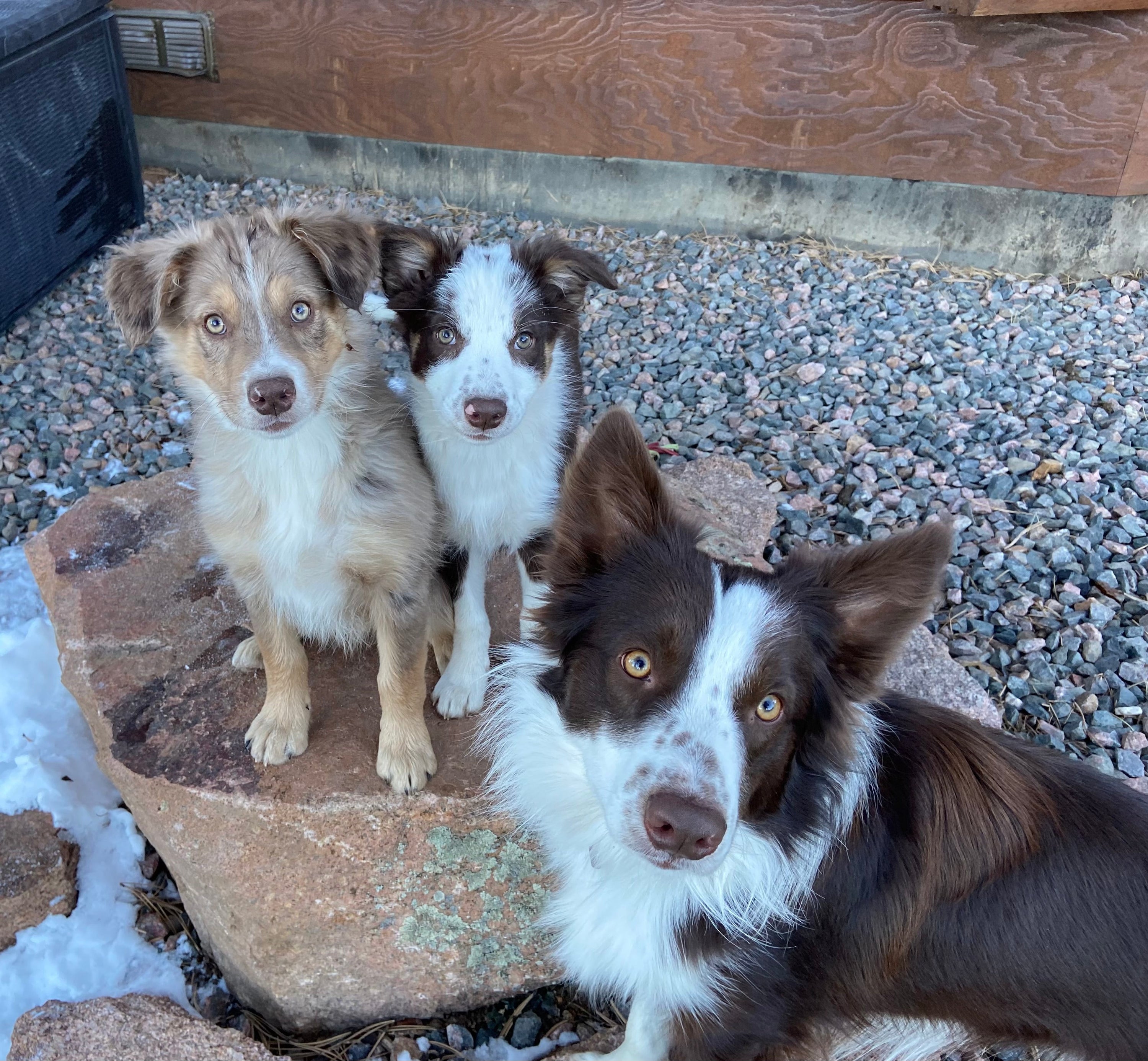 NATURAL TICK PREVENTION