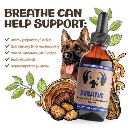 BREATHE | Mushrooms for Heart and Respiratory Support