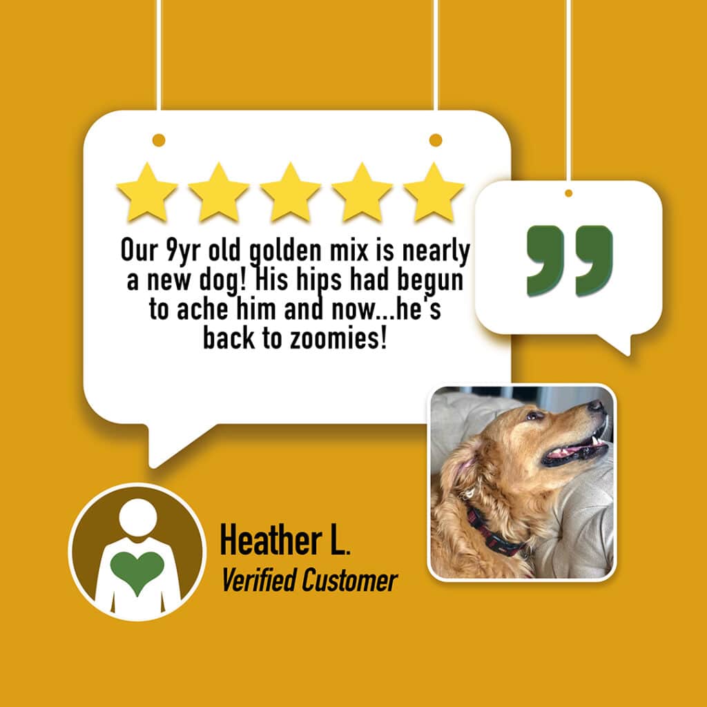 Ease 5 star review