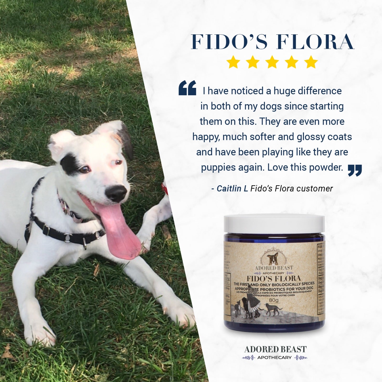 FIDO&