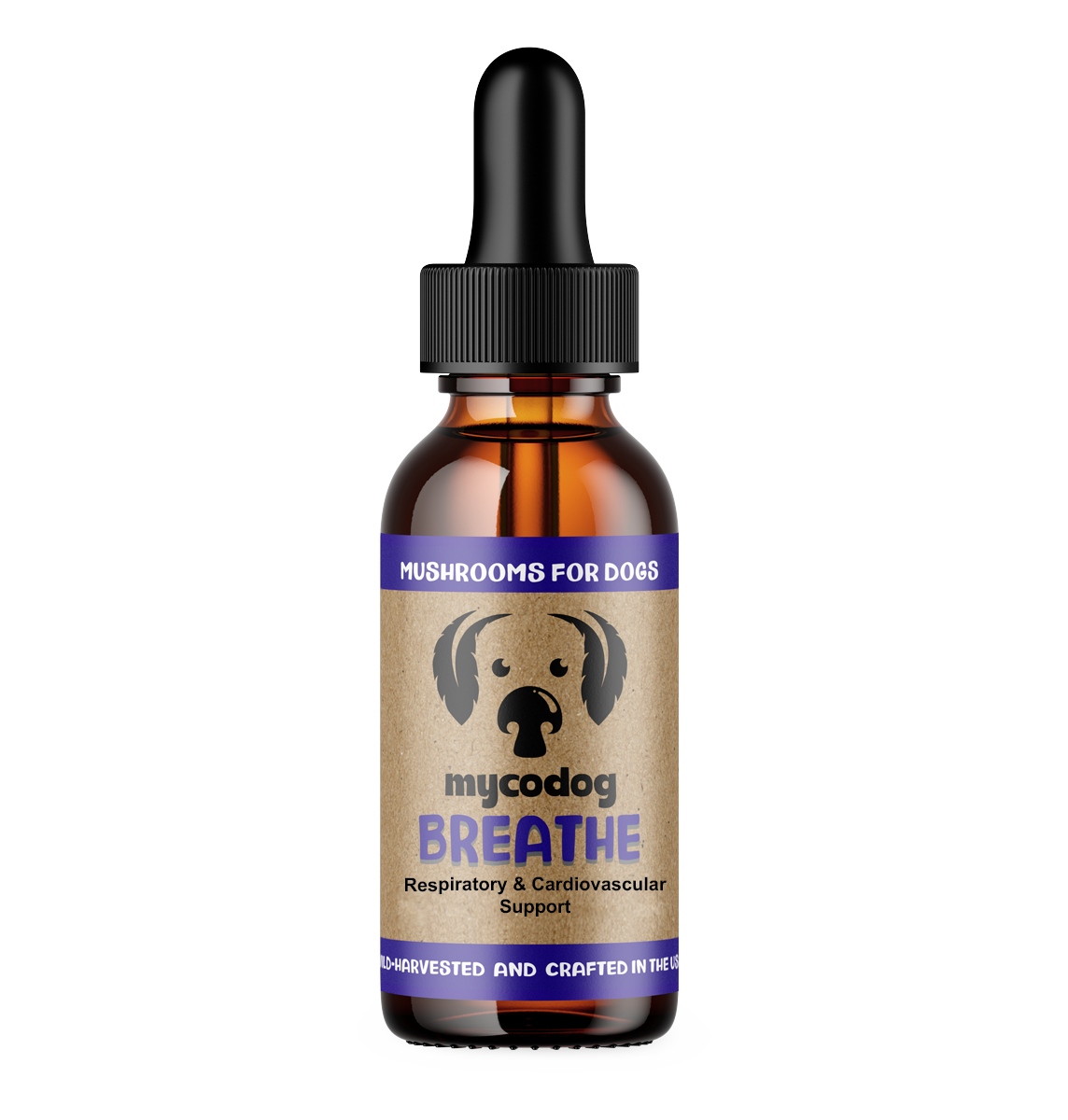 BREATHE | Mushrooms for Heart and Respiratory Support