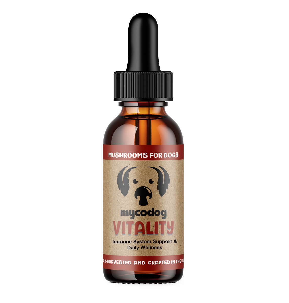 Vitality - Mushrooms for Immune Support