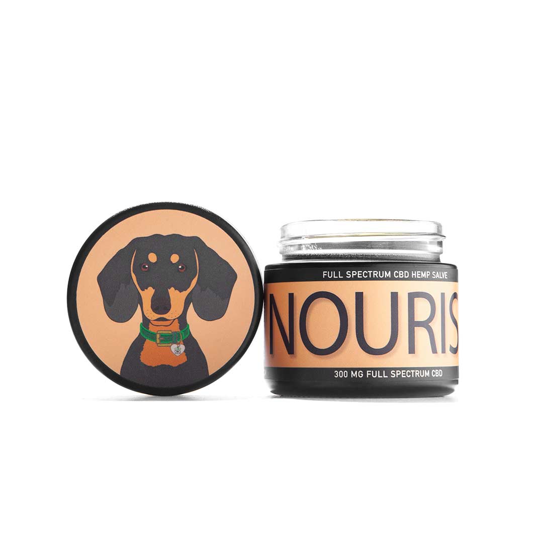 Nourish Salve : For Dry Skin, Nose, Paws and Elbows