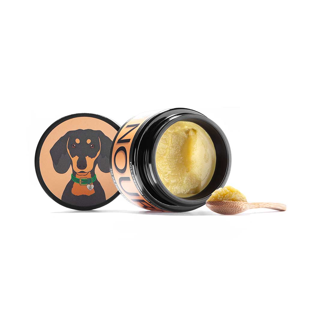 Nourish Salve : For Dry Skin, Nose, Paws and Elbows
