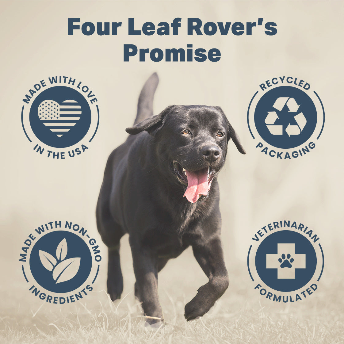 Collagen four Dogs | For Healthy Joints | Made In USA - Raw Dog Food Complete