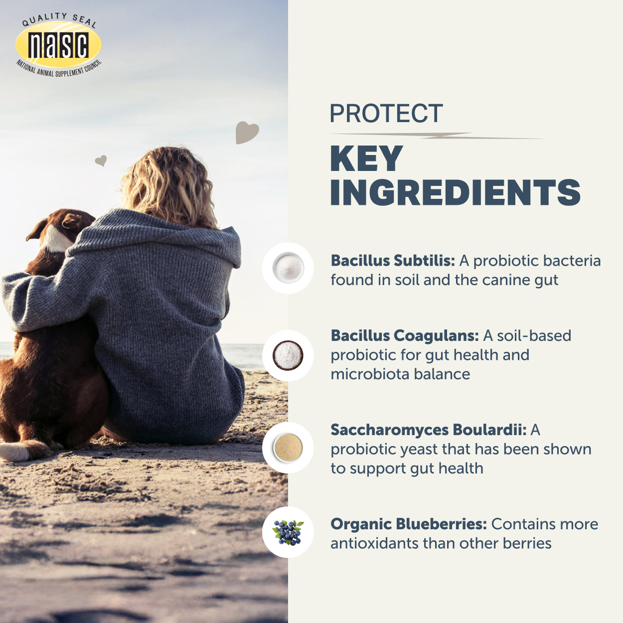 Person sitting on a beach with a dog, with NASIC logo and text about key ingredients on the right.