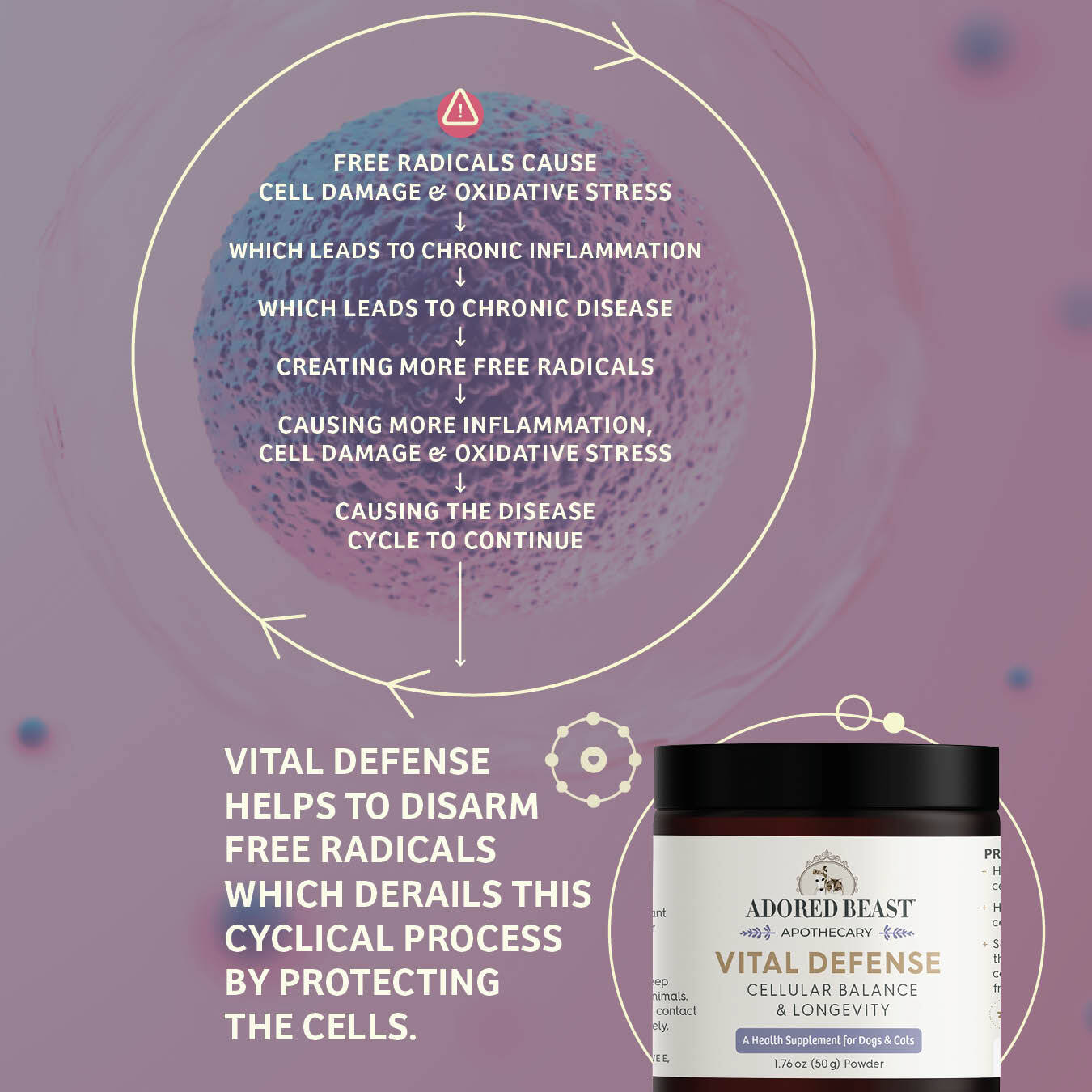 Vital Defense | Cellular Support |Adored Beast Apothecary - Raw Dog Food Complete