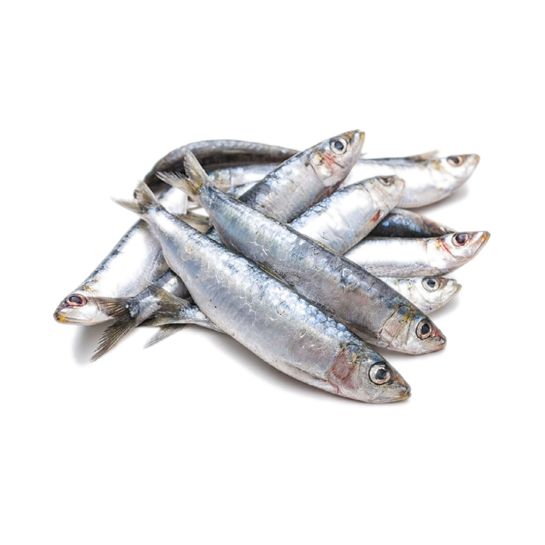 Ground Sardines Raw Dog Food Complete