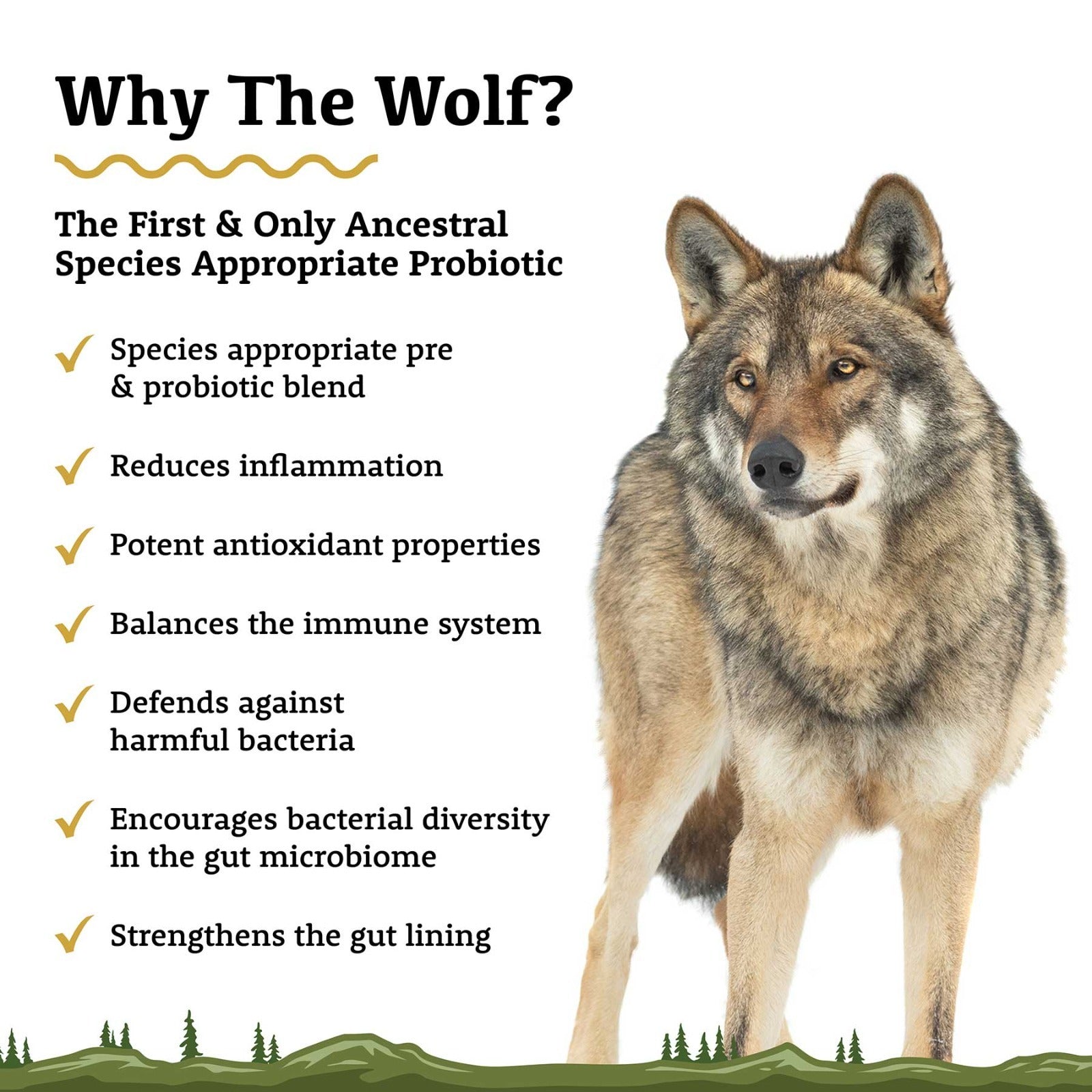 The Wolf | Species Appropriate Probiotic - Raw Dog Food Complete