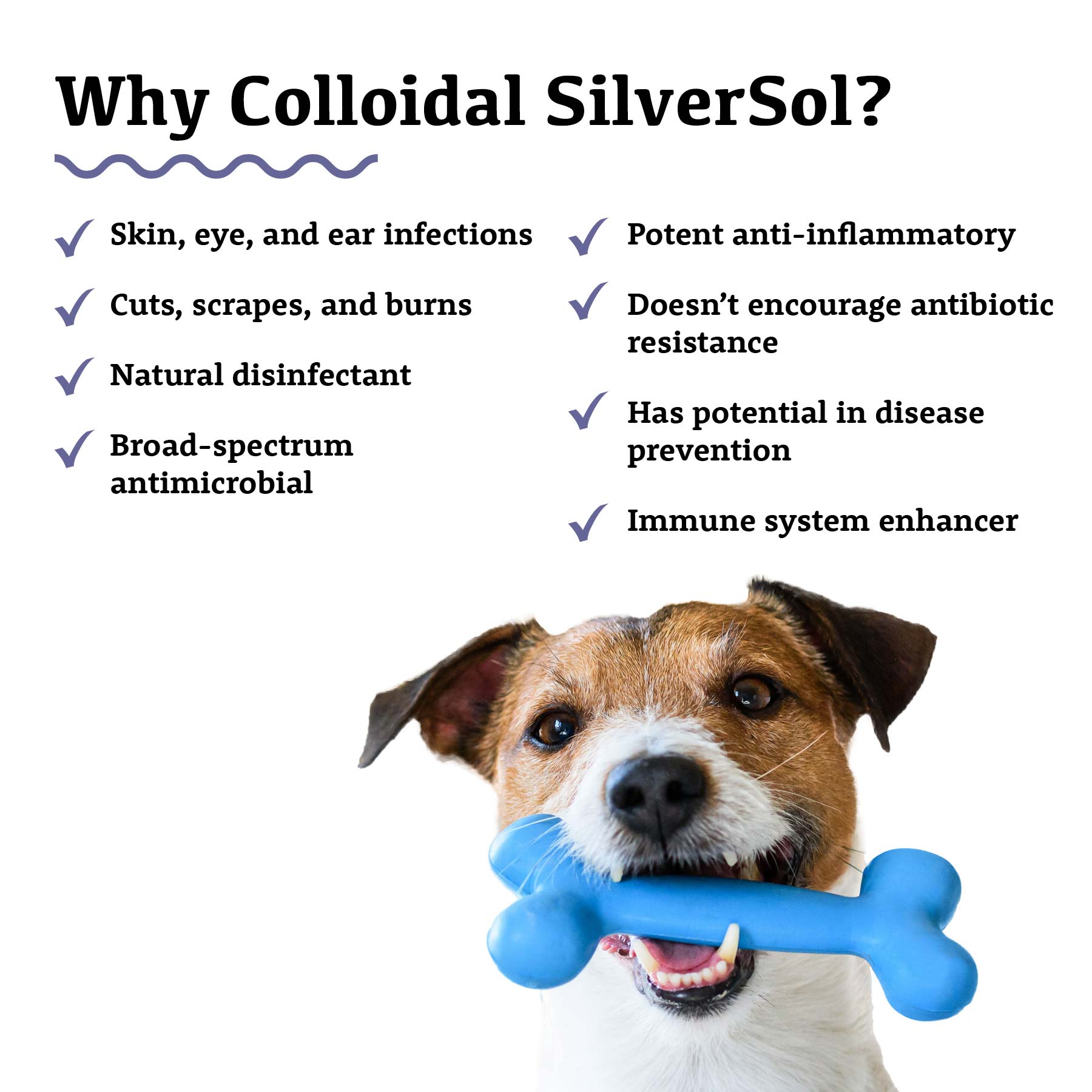 Colloidal SilverSol | MRET Activated | Adored Beast Sale - Raw Dog Food Complete