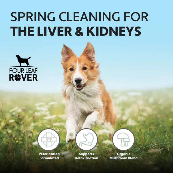 Liver/Kidney Clean - Raw Dog Food Complete