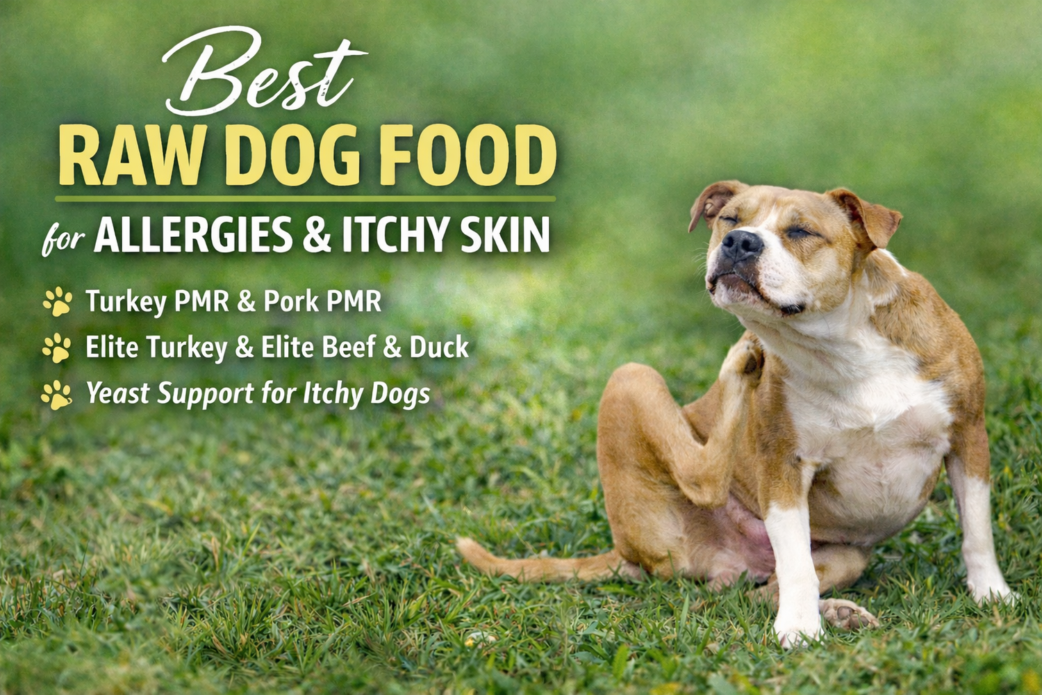 Best Raw Dog Food for Allergies  & Itchy Skin