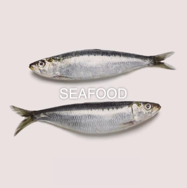 Whole frozen sardines