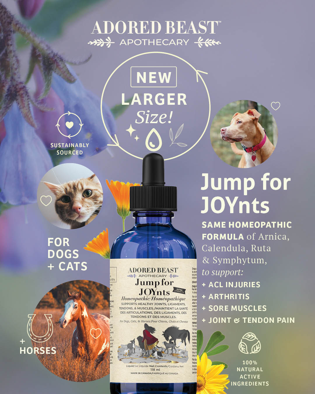 Jump for JOYnts | Extra Strength | Arthritis | Joint Aches