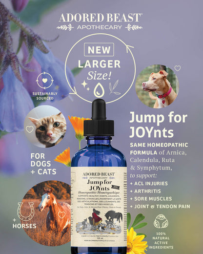 Jump for JOYnts | Extra Strength | Arthritis | Joint Aches