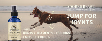 Jump for JOYnts | Extra Strength | Arthritis | Joint Aches