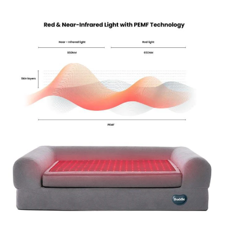 Kala Light | Beddie | Pet Therapy Bed - Raw Dog Food Complete