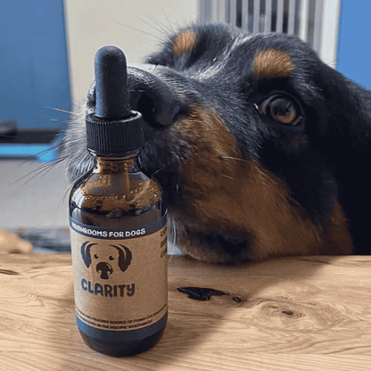 Clarity | Mushrooms for Brain and Nervous System Support - Raw Dog Food Complete