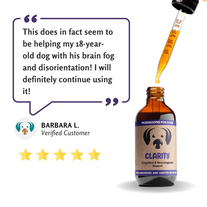 Clarity | Mushrooms for Brain and Nervous System Support - Raw Dog Food Complete