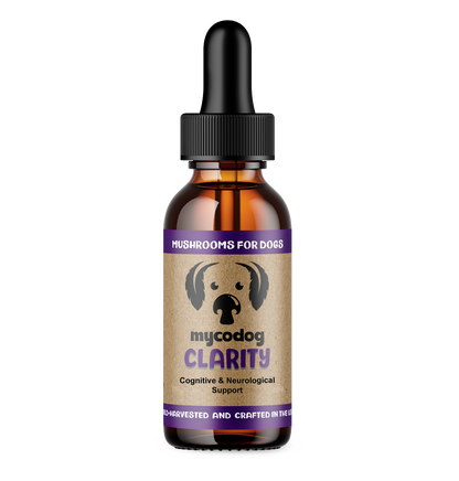 Mycodog clarity for cognitive and neurological support