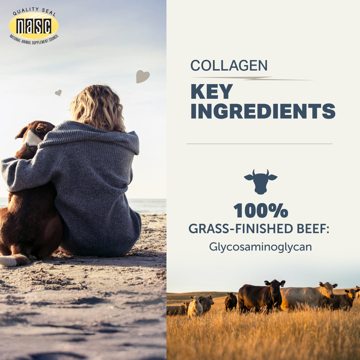 Collagen four Dogs | For Healthy Joints | Made In USA - Raw Dog Food Complete