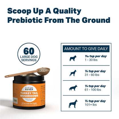 Turkey Tail | Four Leaf Rover - Raw Dog Food Complete