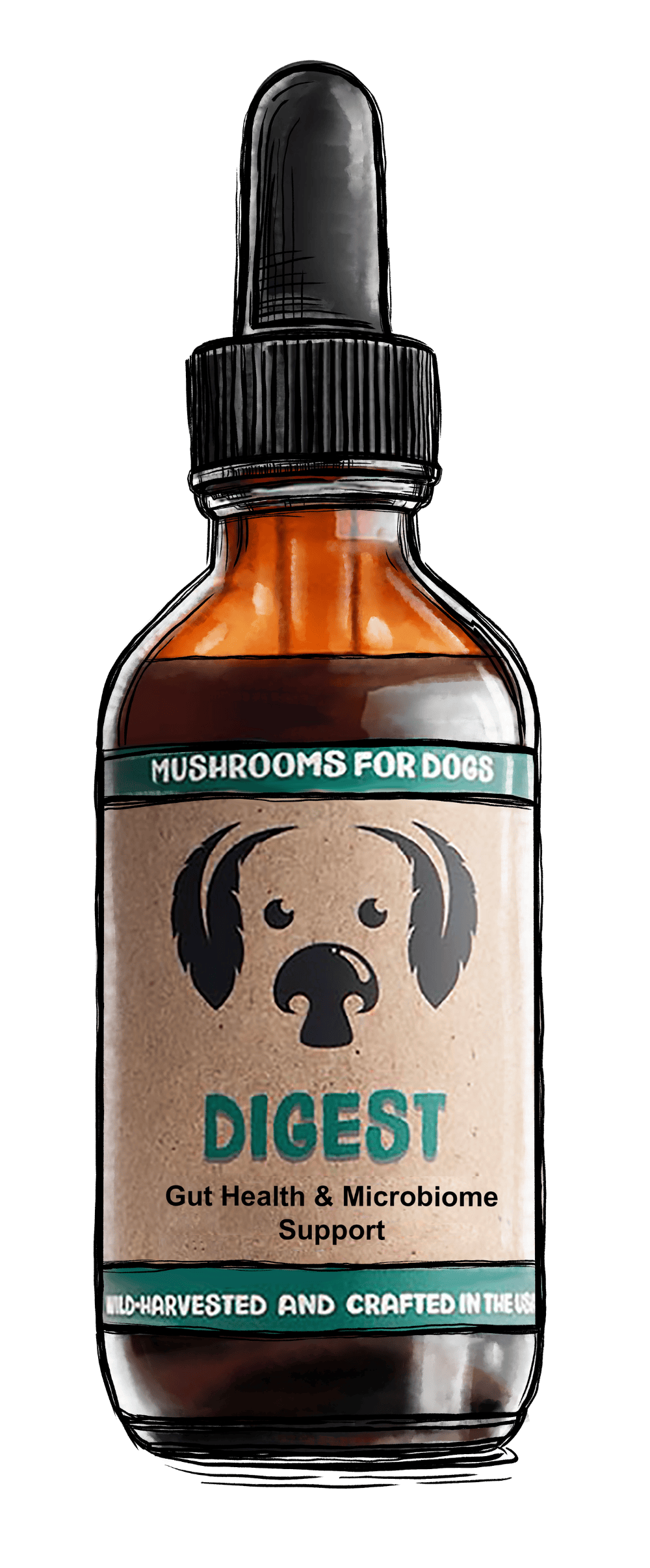 Digest Mushrooms for Digestive Support