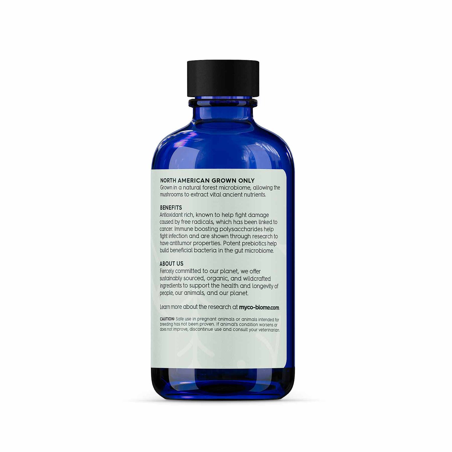 Equine Turkey Tail Adored Beast - Raw Dog Food Complete