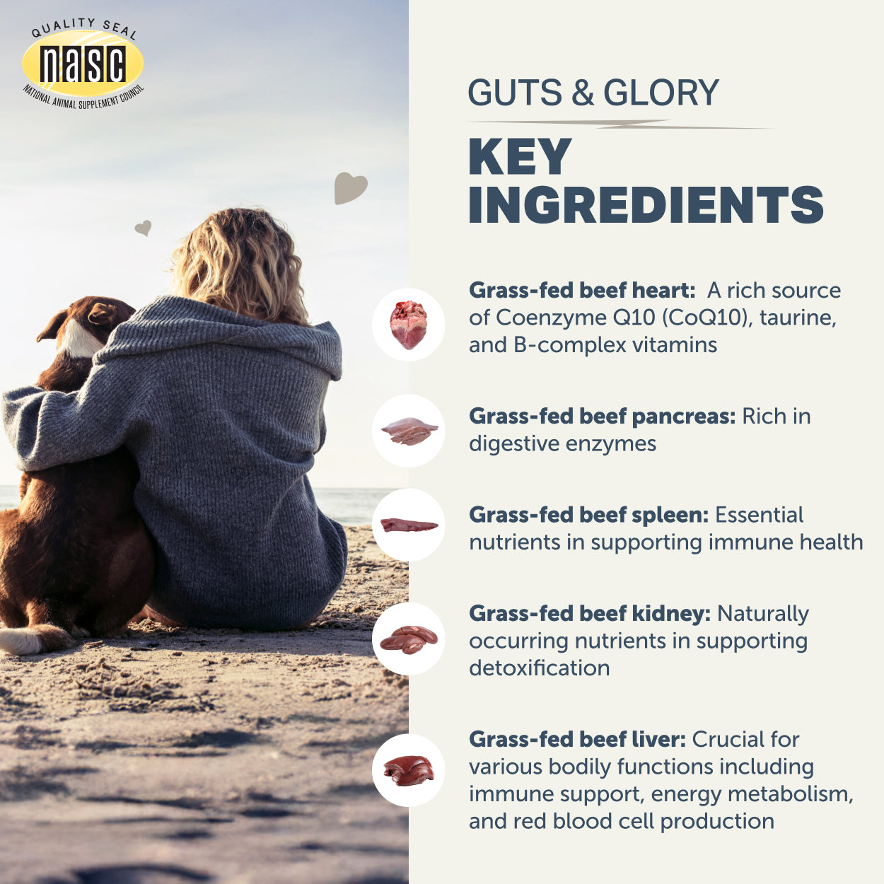 Person and dog sitting on a beach with NASC Guts &amp; Glory supplement ingredients listed.