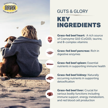 Person and dog sitting on a beach with NASC Guts &amp; Glory supplement ingredients listed.
