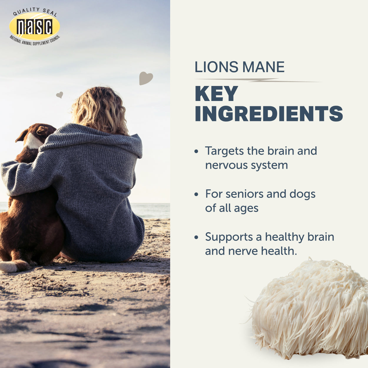 Person sitting on a beach with a dog, featuring NASIC logo and text about Lions Mane key ingredients.