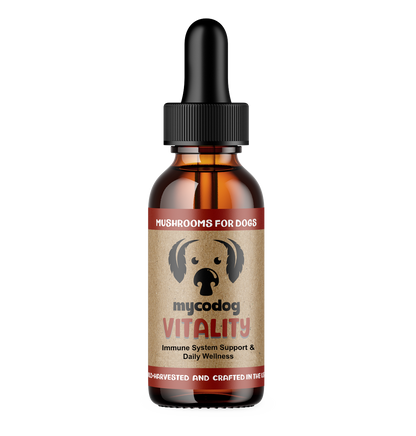 Vitality - Mushrooms for Immune Support