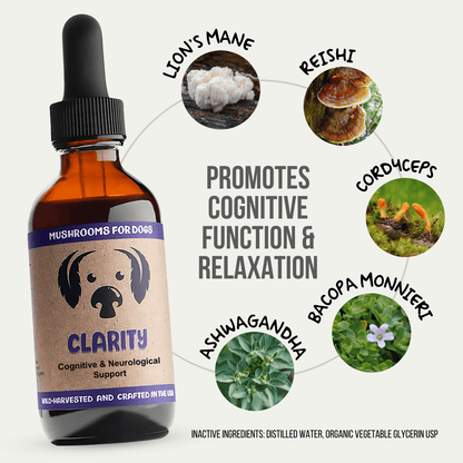 Clarity | Mushrooms for Brain and Nervous System Support - Raw Dog Food Complete