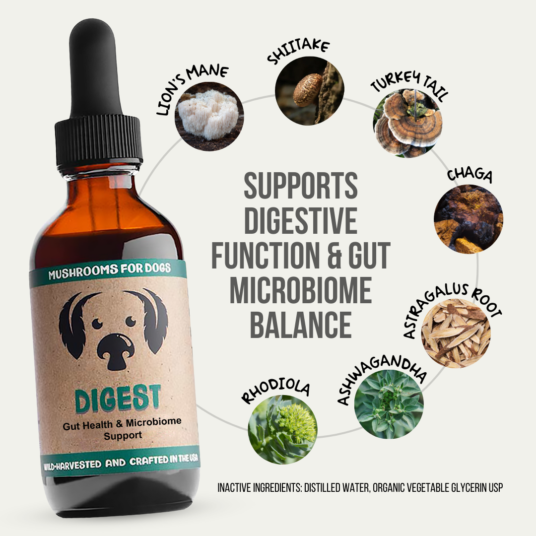 Digest Mushrooms for Digestive Support