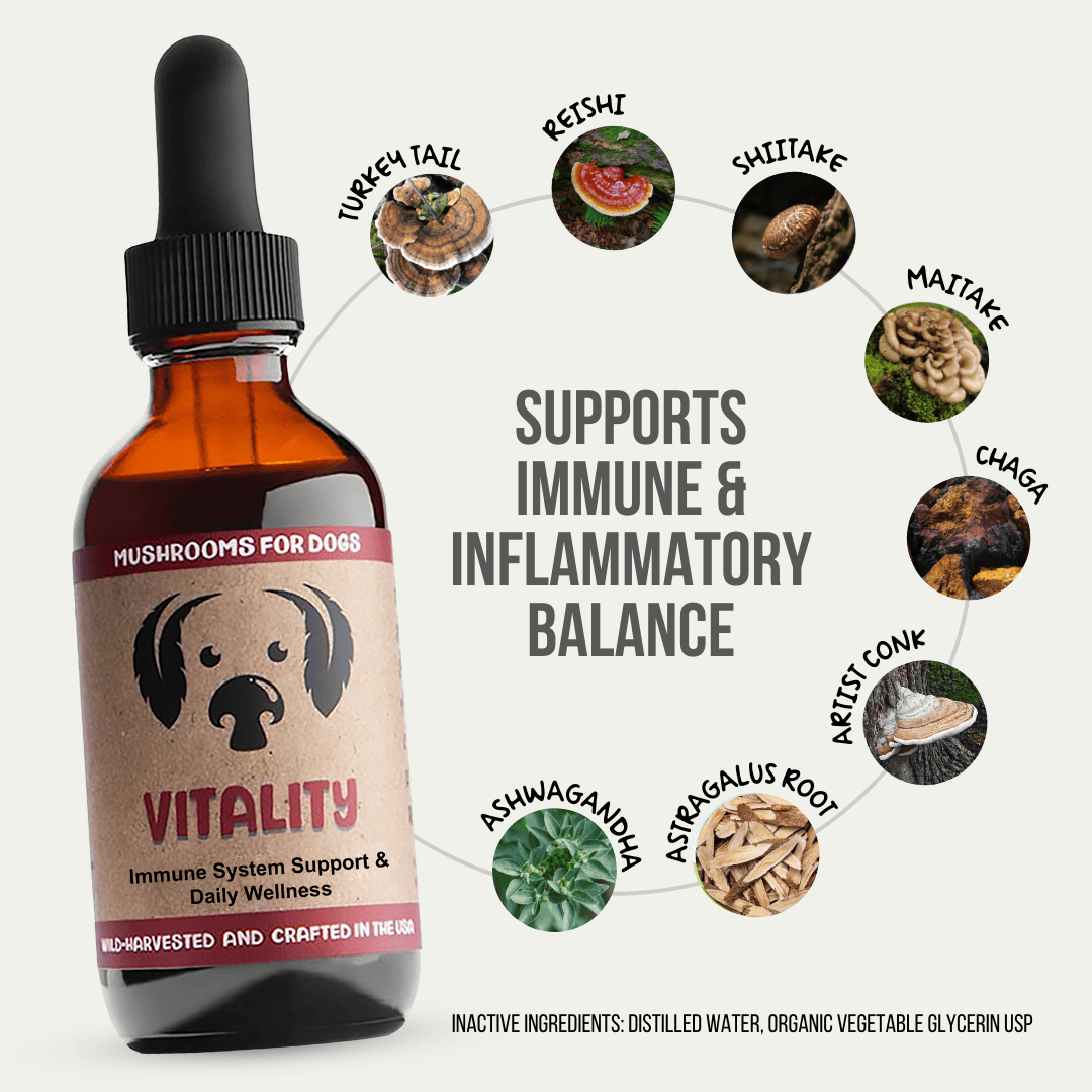 Vitality Mushroom showing turkey tail, reishi, shitake, Maitake, Chaga, Artist Conk, Ashwagandha, astragalus root