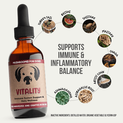 Vitality Mushroom showing turkey tail, reishi, shitake, Maitake, Chaga, Artist Conk, Ashwagandha, astragalus root