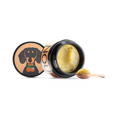 Nourish Salve : For Dry Skin, Nose, Paws and Elbows