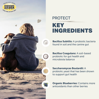 Person sitting on a beach with a dog, with NASIC logo and text about key ingredients on the right.