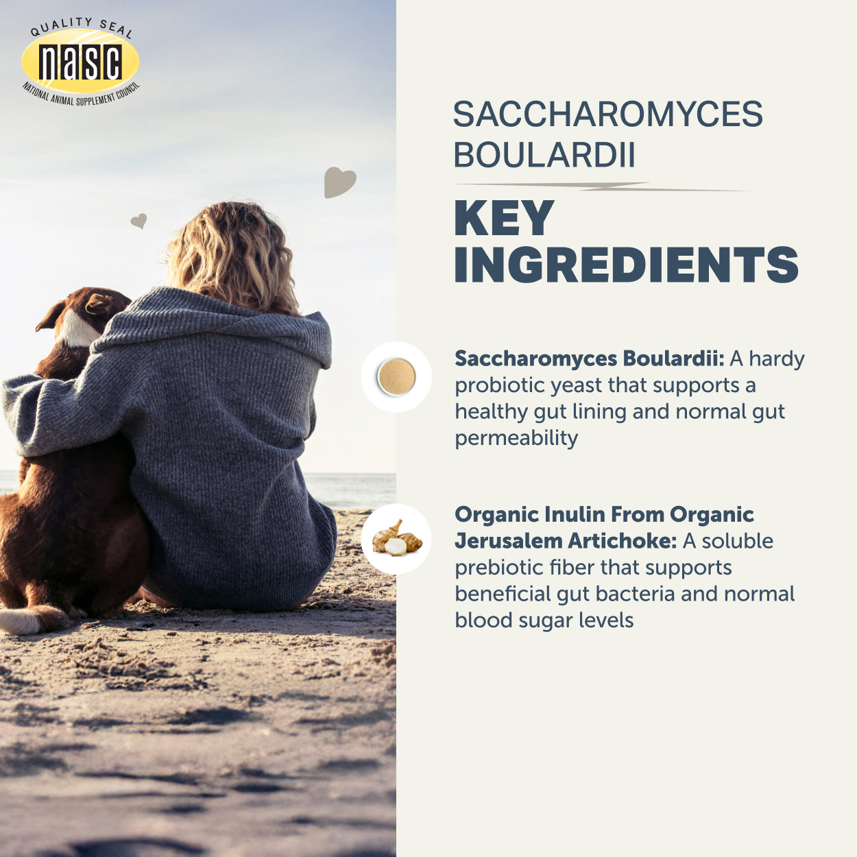 Person sitting on a beach with a dog, with NASC logo and text about Saccharomyces Boulardii and organic ingredients.