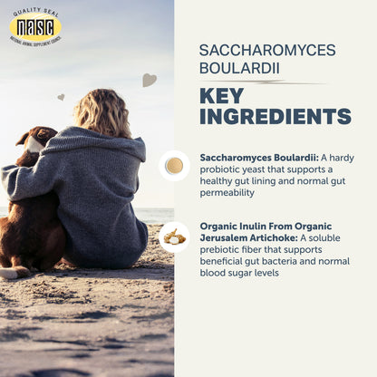 Person sitting on a beach with a dog, with NASC logo and text about Saccharomyces Boulardii and organic ingredients.