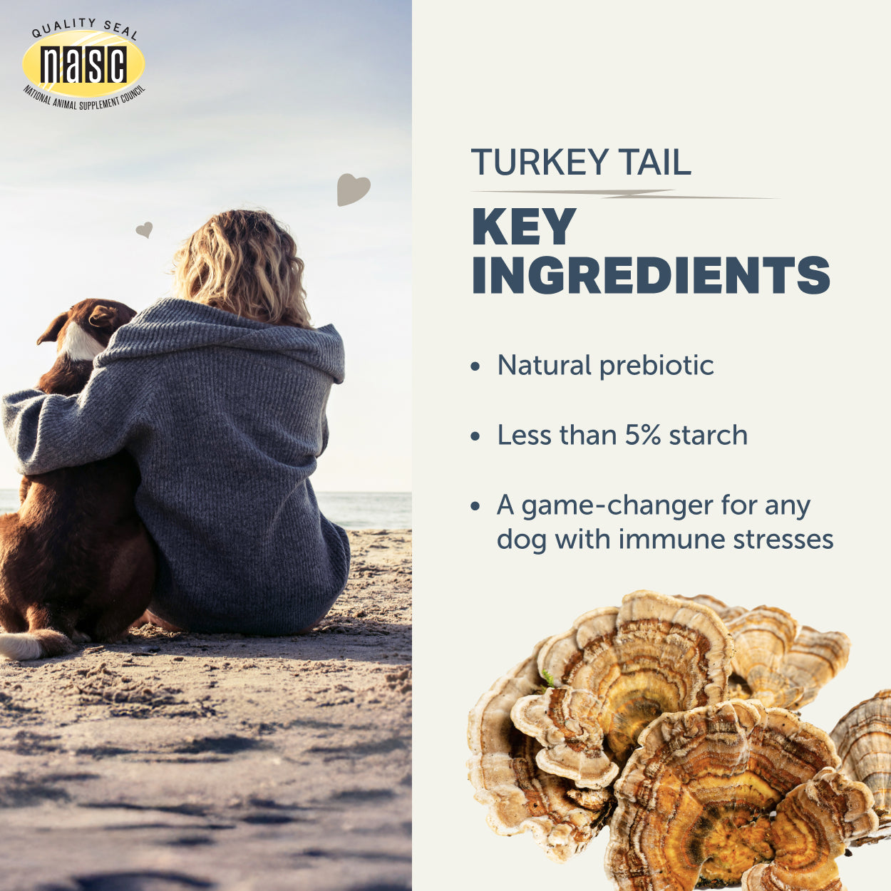Person and dog sitting on a beach with NASIC logo, turkey tail mushroom image, and text about key ingredients.