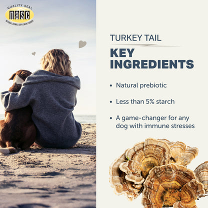 Person and dog sitting on a beach with NASIC logo, turkey tail mushroom image, and text about key ingredients.