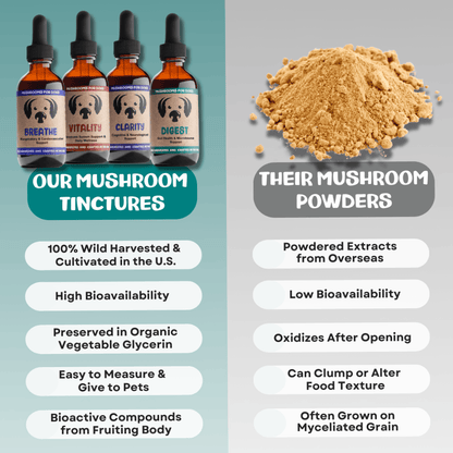 Digest Mushrooms for Digestive Support