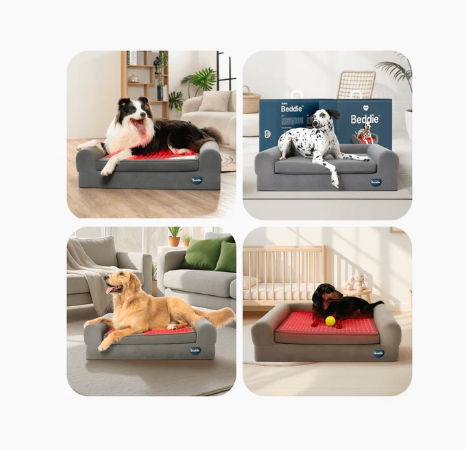 Kala Light | Beddie | Pet Therapy Bed - Raw Dog Food Complete