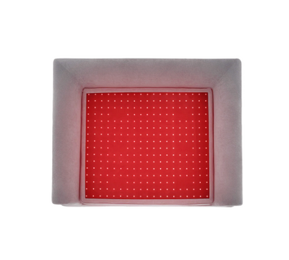 Kala Light | Beddie | Pet Therapy Bed - Raw Dog Food Complete