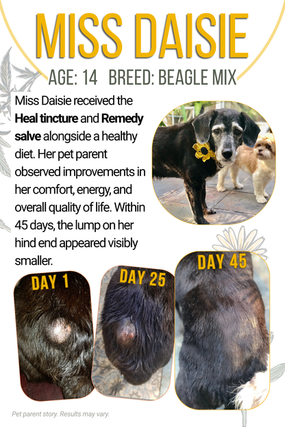 Heal - Full - Spectrum Oil For Dogs