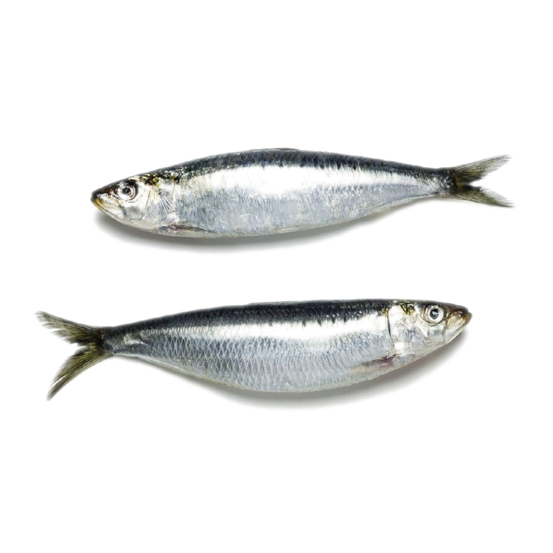 Wild Caught Sardines - 5 LB bag - Raw Dog Food Complete