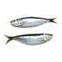 Wild Caught Sardines - 5 LB bag - Raw Dog Food Complete
