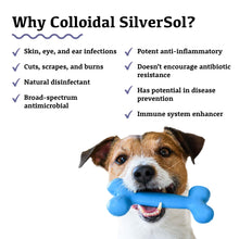 Load image into Gallery viewer, Colloidal SilverSol | MRET Activated
